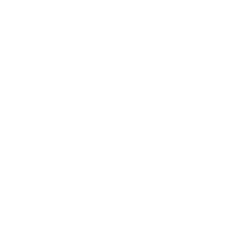 logo diney bikes branco